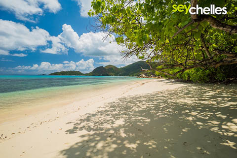 shady anse takamaka near the raffles praslin