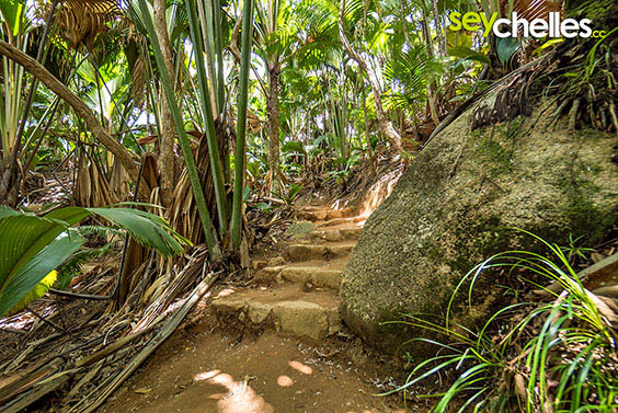path - vallee de mai